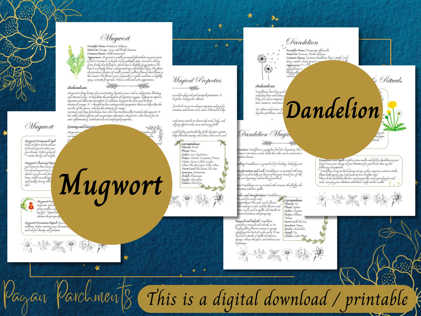 Pack No.2 Green Witch Herb Grimoire Pages, Book of Shadows Herbal Profile Printable, Guide to Herbal Magic, Herb Spells and Rituals