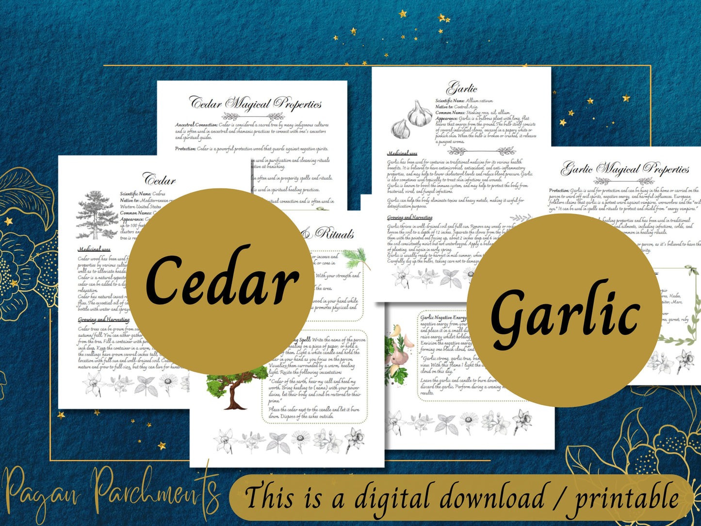 Pack No.5 Green Witch Herb Grimoire Pages, Book of Shadows Herbal Profile Printable, Herbalist Magic, Herbal Spells and Rituals, Herbology