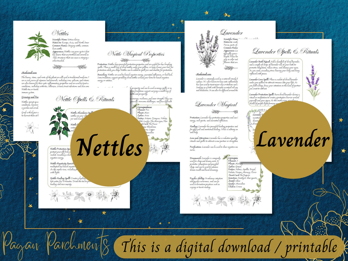 Pack No.2 Green Witch Herb Grimoire Pages, Book of Shadows Herbal Profile Printable, Guide to Herbal Magic, Herb Spells and Rituals
