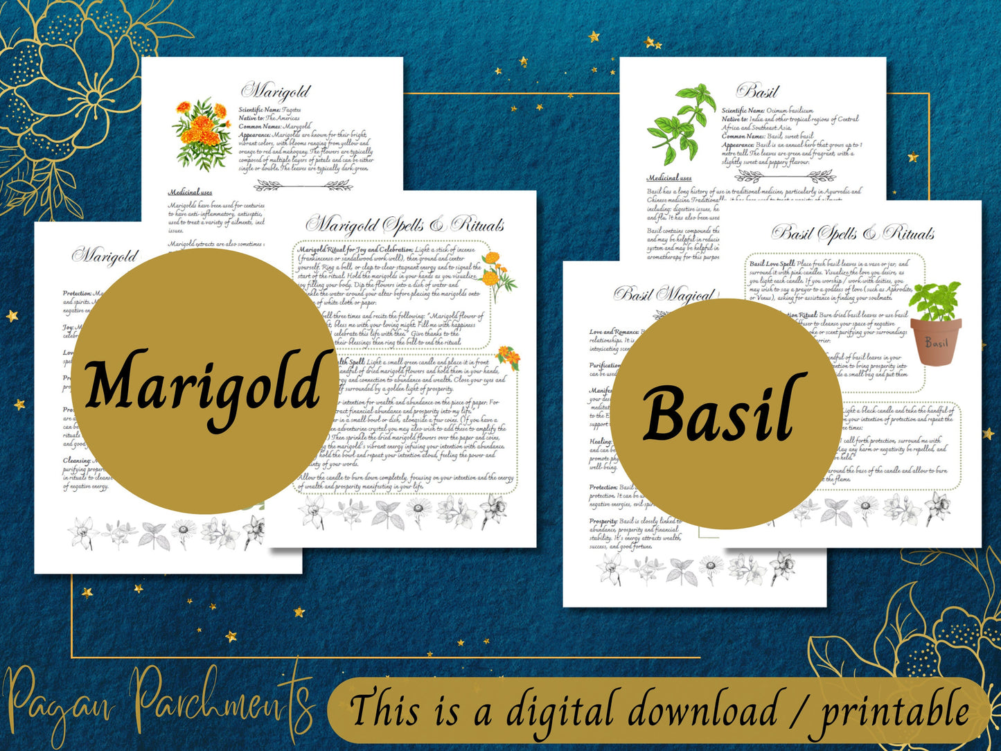 Pack No.2 Green Witch Herb Grimoire Pages, Book of Shadows Herbal Profile Printable, Guide to Herbal Magic, Herb Spells and Rituals