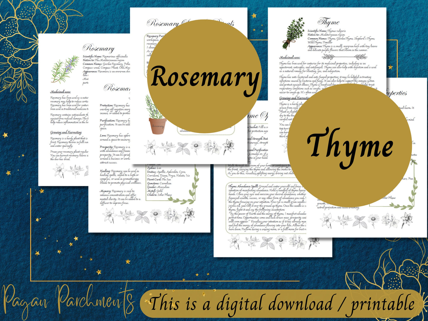 Pack No.2 Green Witch Herb Grimoire Pages, Book of Shadows Herbal Profile Printable, Guide to Herbal Magic, Herb Spells and Rituals