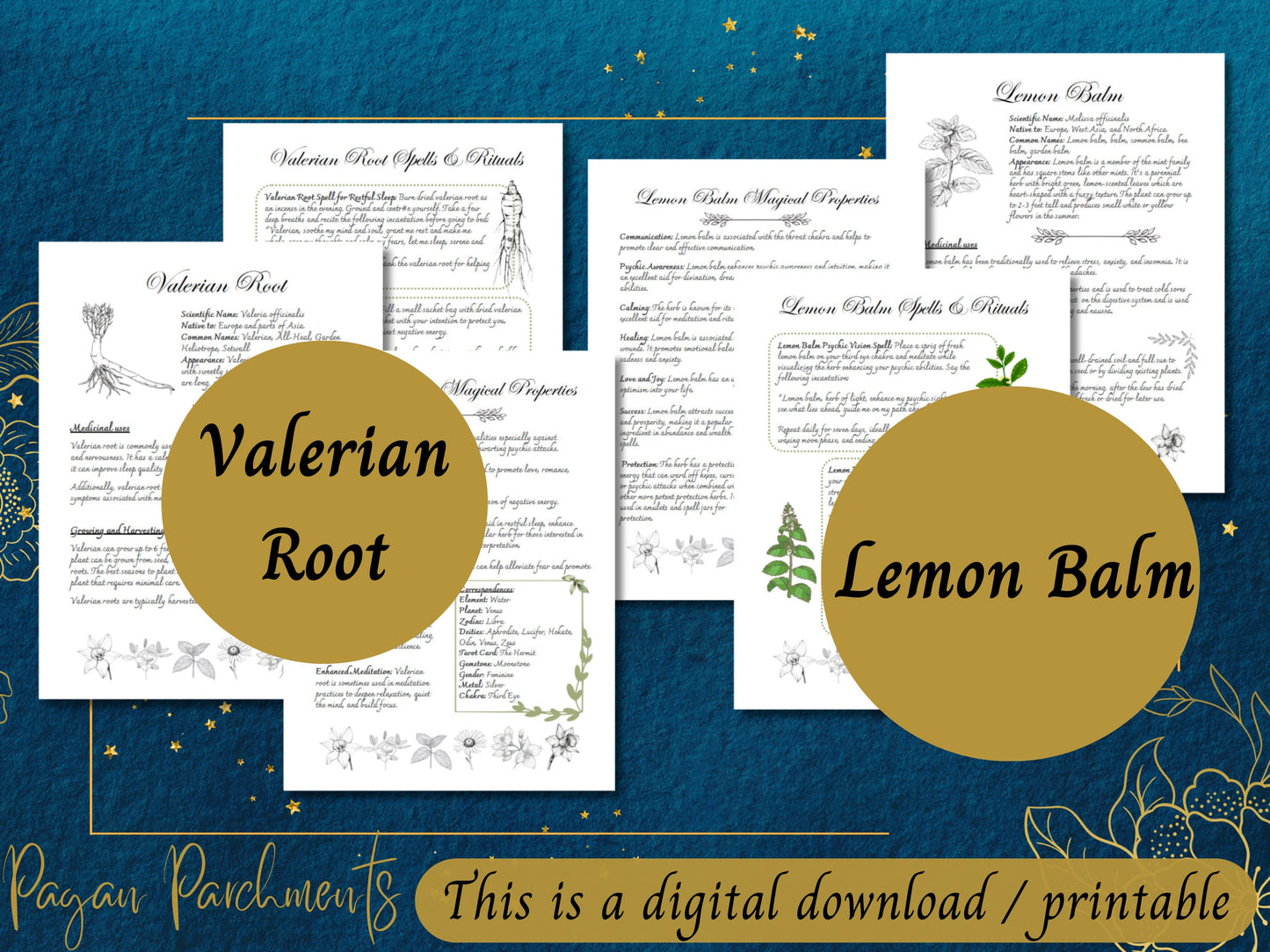 Pack No.5 Green Witch Herb Grimoire Pages, Book of Shadows Herbal Profile Printable, Herbalist Magic, Herbal Spells and Rituals, Herbology